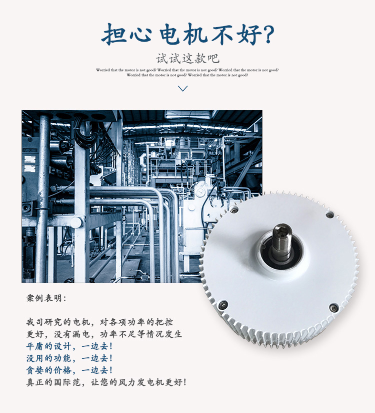 300-400W永磁發(fā)電機