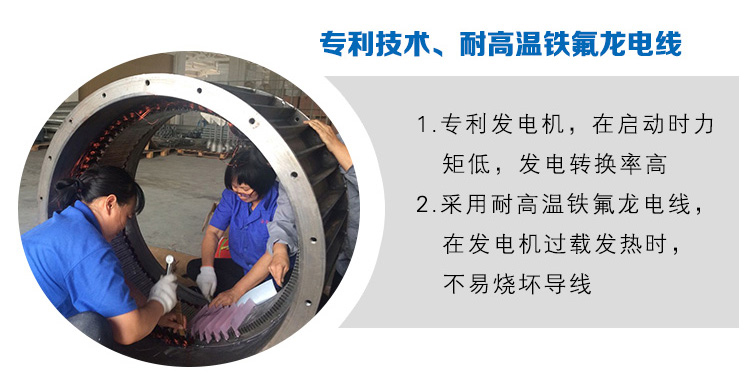 5fd84152d9017.jpg 電控型風力發電機