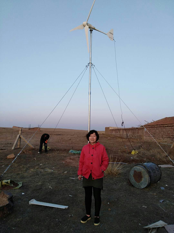 風(fēng)光柴多能互補(bǔ)儲(chǔ)能系統(tǒng)-家用