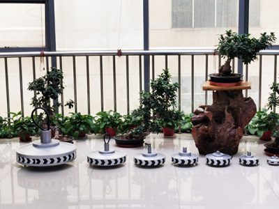 盤式風力發電機有哪些優點？